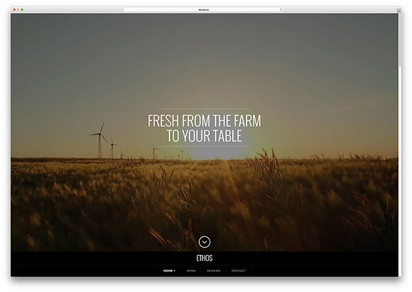 diseno-web-innovadores-wordpress-2
