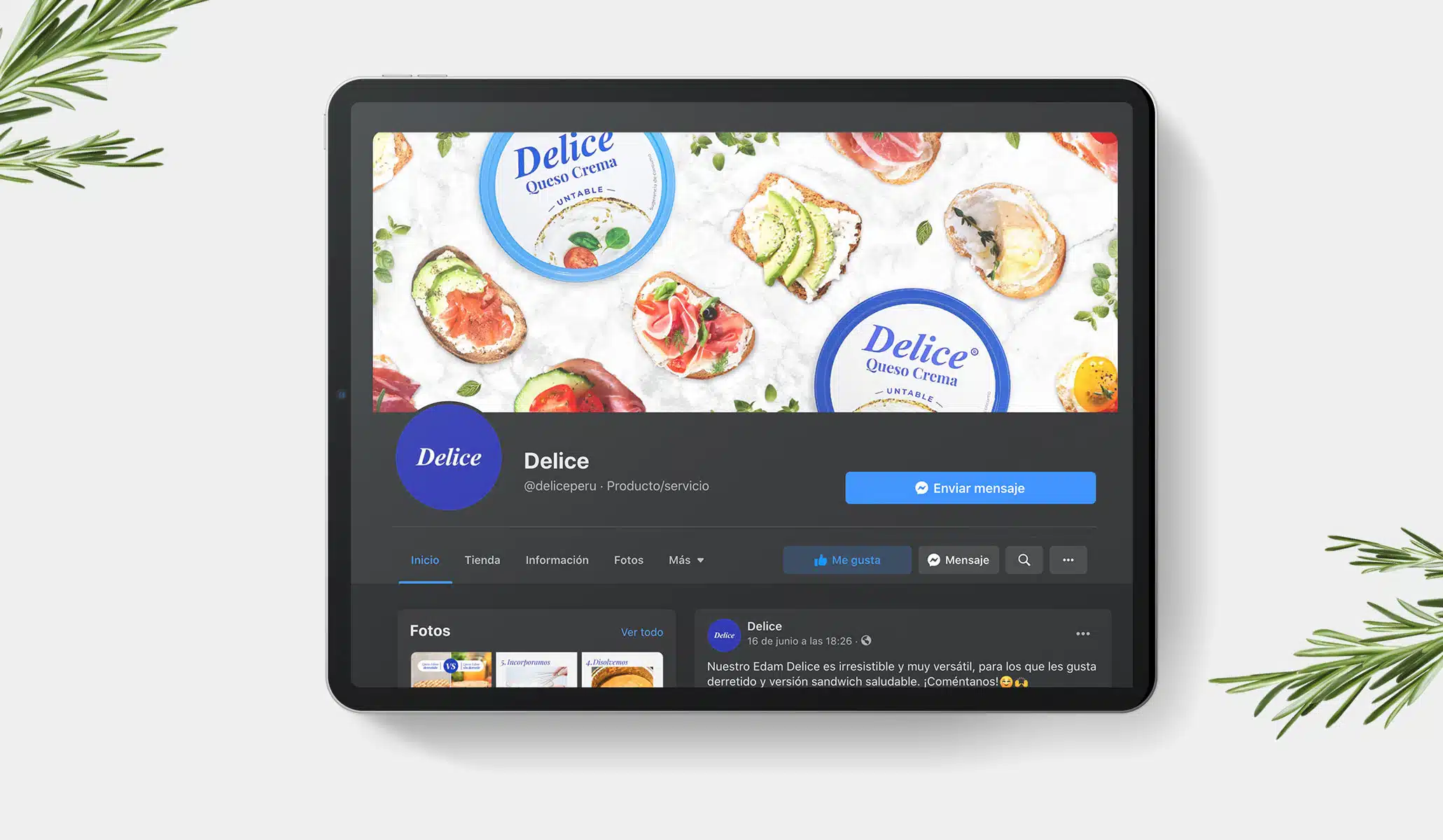 Arte delice vista tablet